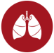 lungs-icon lungs-icon