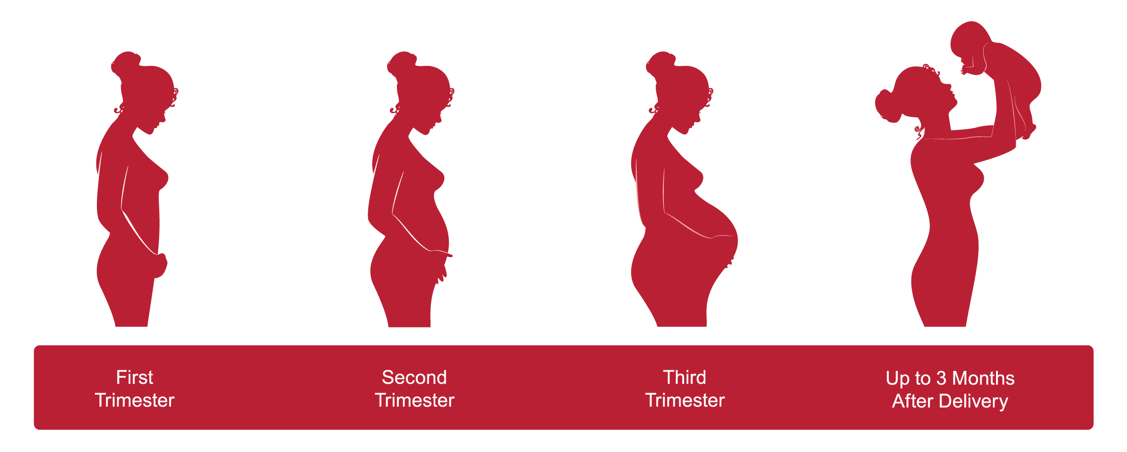Pregnancy timeline