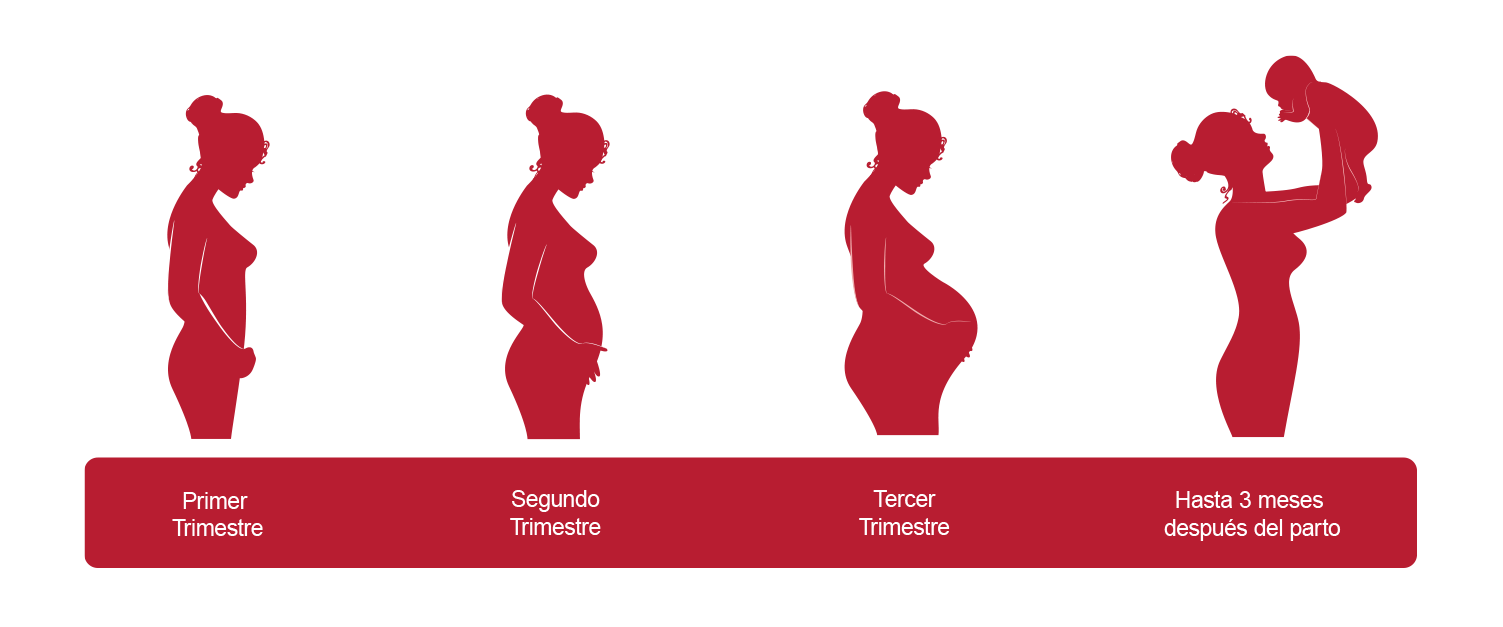 nbca-pregnancy-spanish-1