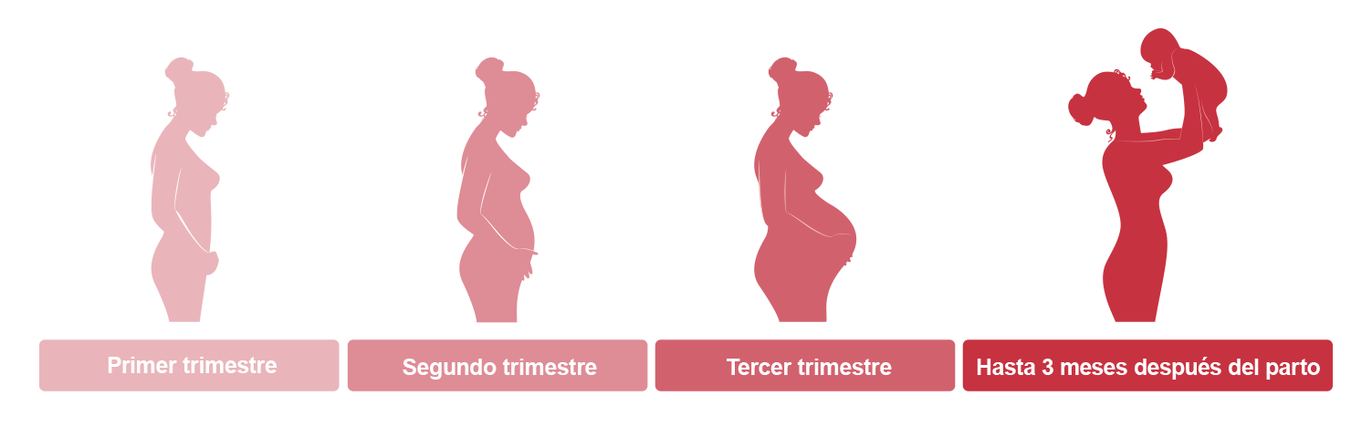 nbca-pregnancy-spanish-risk-ig