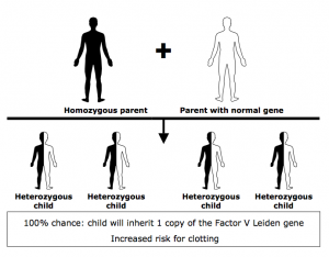 Homozygous Factor V Leiden Picture